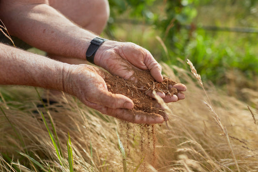 What's the Dirt on Margaret River?